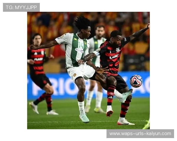 巴西弗拉门戈准备强化体系拼抢,迈向足球新高峰 巴西弗拉门戈准备强化体系拼抢,迈向足球新高峰