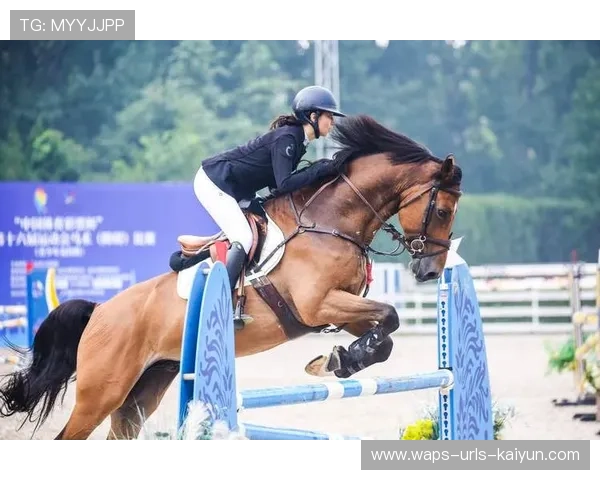 马术障碍赛无失误完成全程